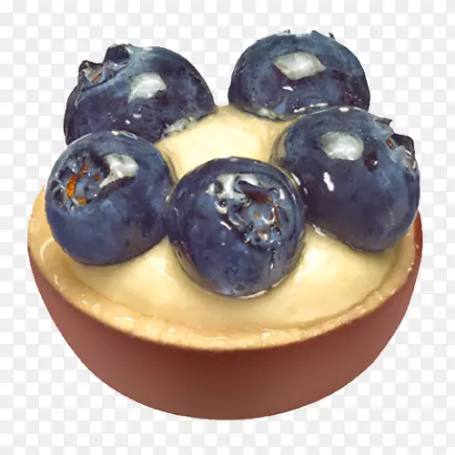 蓝莓冷冻甜点超级食品-蓝莓