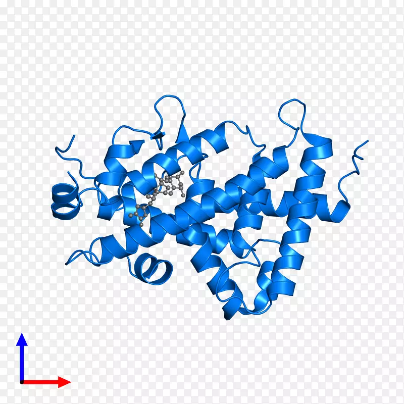 钙基三醇受体欧洲生物信息学研究所维生素d核受体