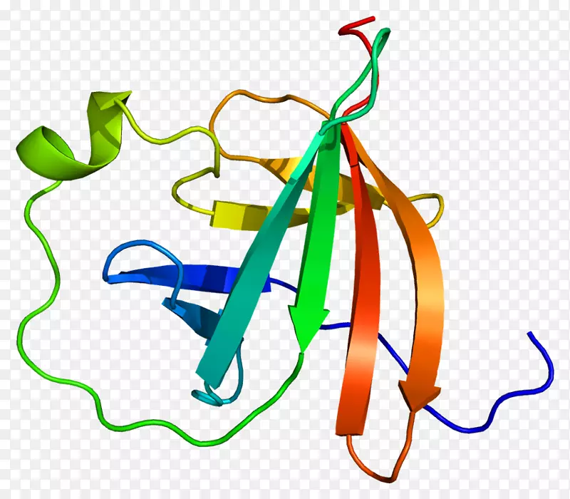 mtcp 1蛋白激酶b基因