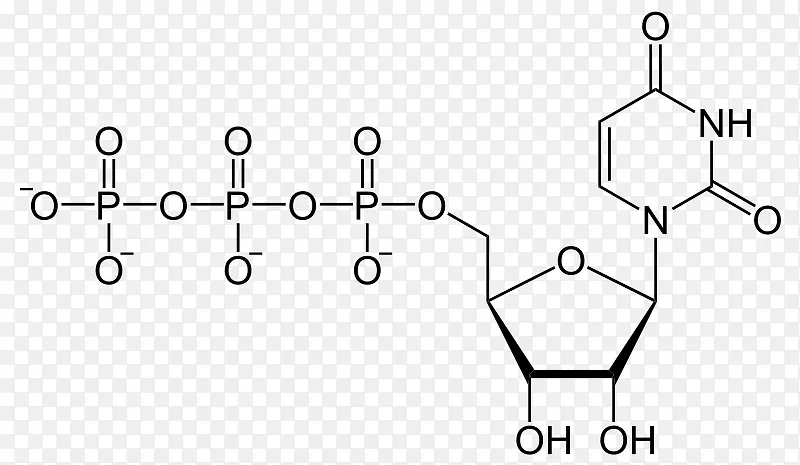 二磷酸尿苷，三磷酸腺苷，三磷酸尿苷，一磷酸尿苷