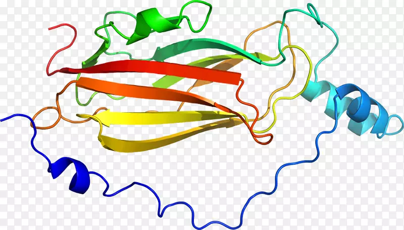 线点生物剪贴画线