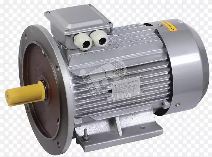 电动机-摩擦感应电动机-IEK泵