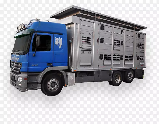 梅塞德斯-奔驰卡车国际轿车