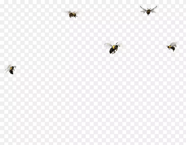 蜜蜂线字体