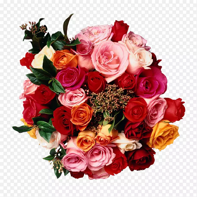 花园玫瑰开始插花：自学电子书籍教自己插花，新版朱迪思百科全书花卉设计-玫瑰。