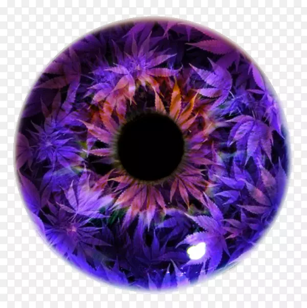 虹膜瞳孔紫透镜