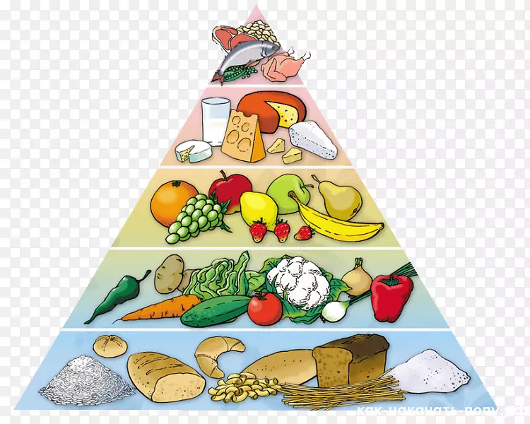 饮食金字塔健康饮食营养健康