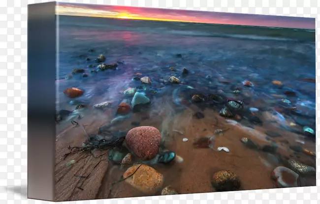 海洋摄影水生物-海滩日落