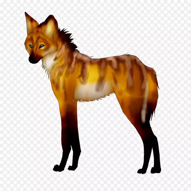 红狐毛嘴野生动物-狐狸