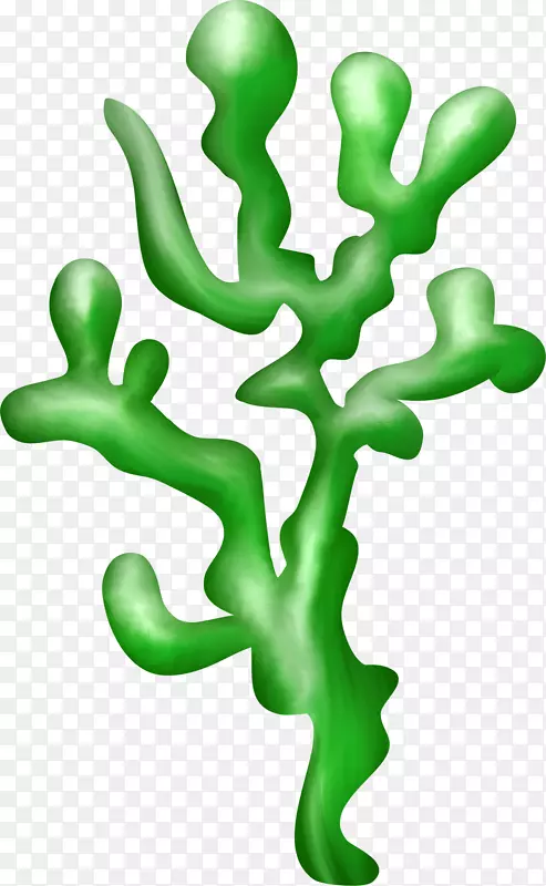 海藻植物区系剪贴画植物