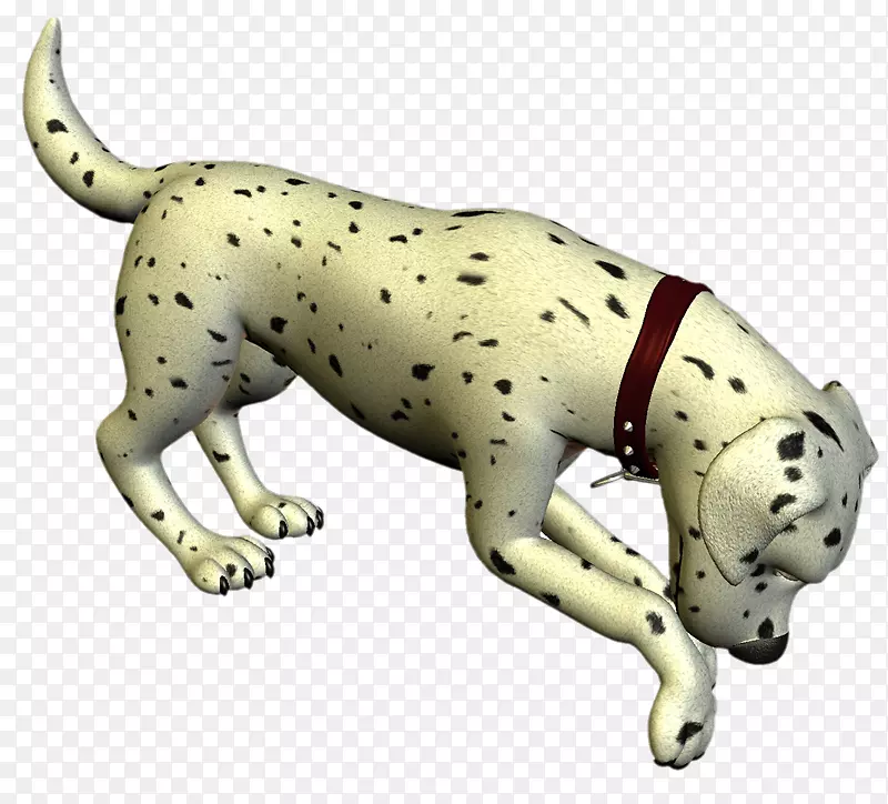 达尔马提亚犬小狗繁殖非运动团体猫吉祥物