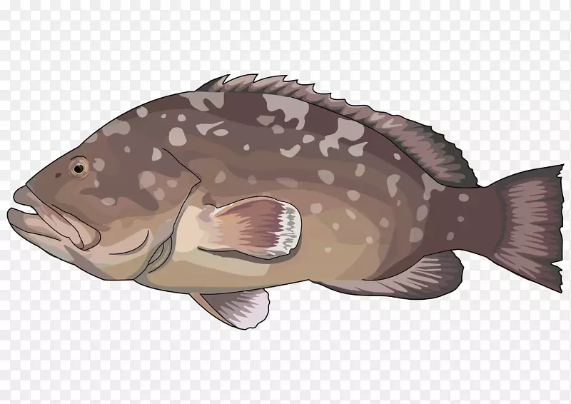 罗非鱼石斑鱼红石斑鱼捕捞