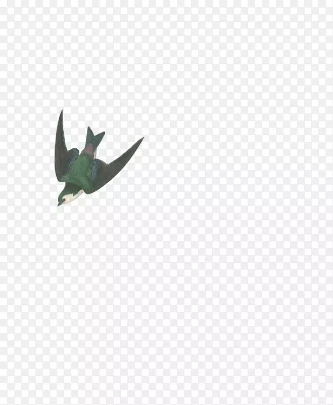 紫罗兰-绿燕雀艺术家-鸟