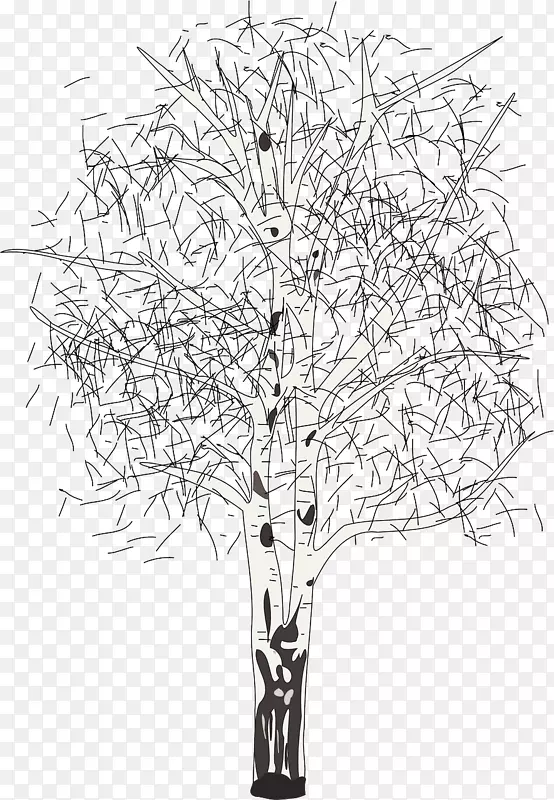 银桦树纸桦树糖浆夹艺术树