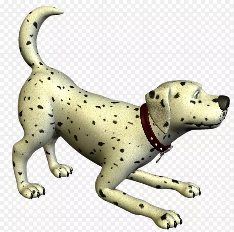 达尔马提亚犬繁殖动物伴生犬吉祥物