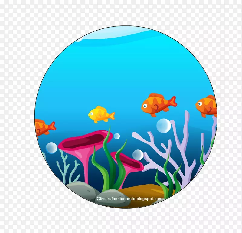 鱼类海洋水下海洋生物-鱼类