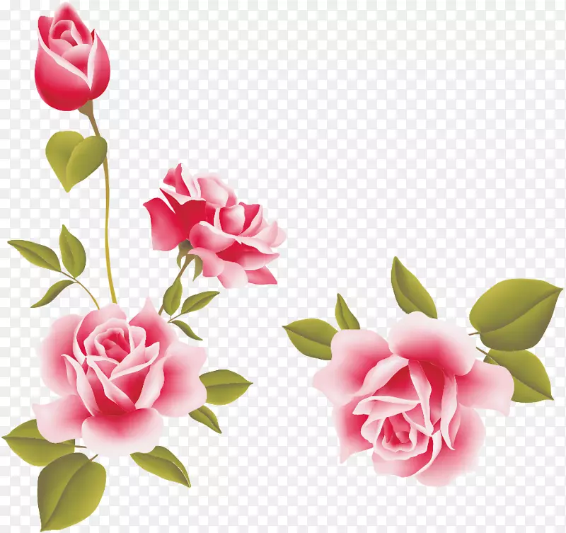 静物：粉色玫瑰，粉色花朵，剪贴画-珍珠花