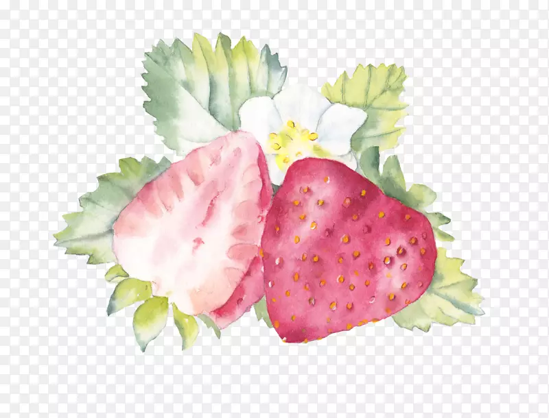 水彩画草莓水果水彩烹饪