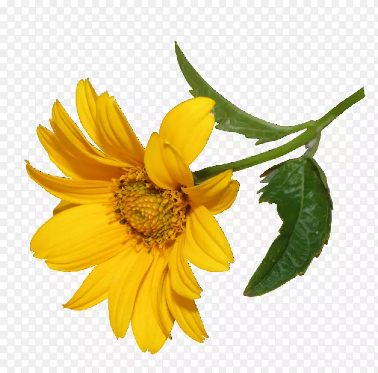 插花艺术