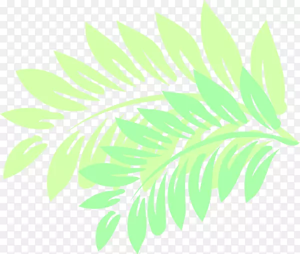 夏威夷芙蓉叶茎计算机鼠标叶