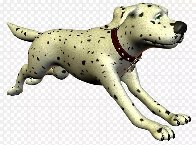 达尔马提亚犬繁殖同伴狗-非运动团体鼻子-吉祥物