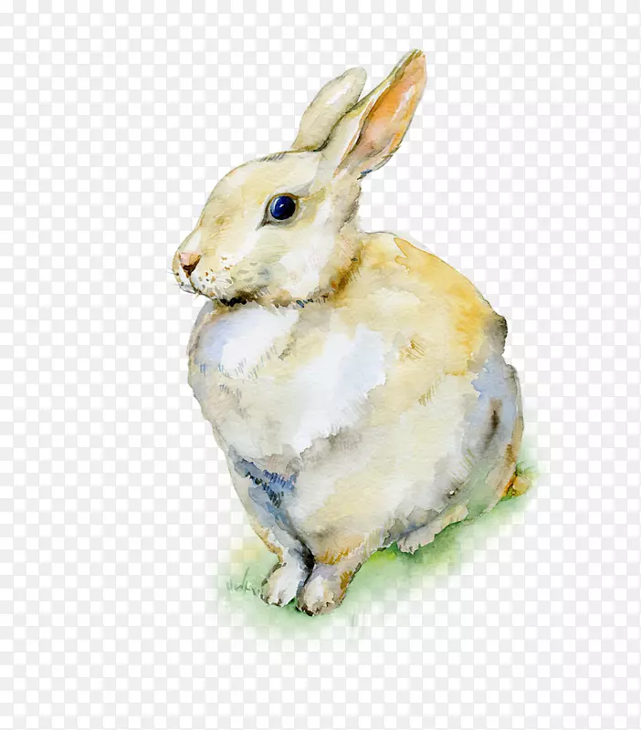 荷兰彩绘兔子复活节水彩画兔子