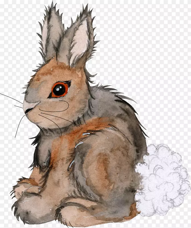 家养野兔啮齿动物剪贴画-兔子