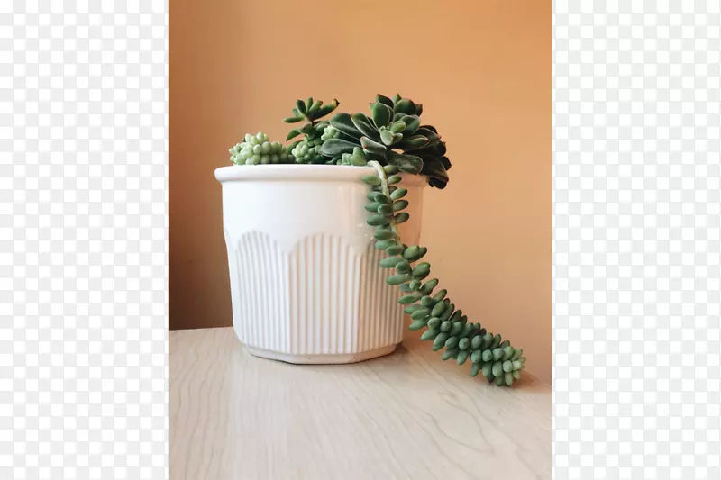 陶瓷花盆厂.设计