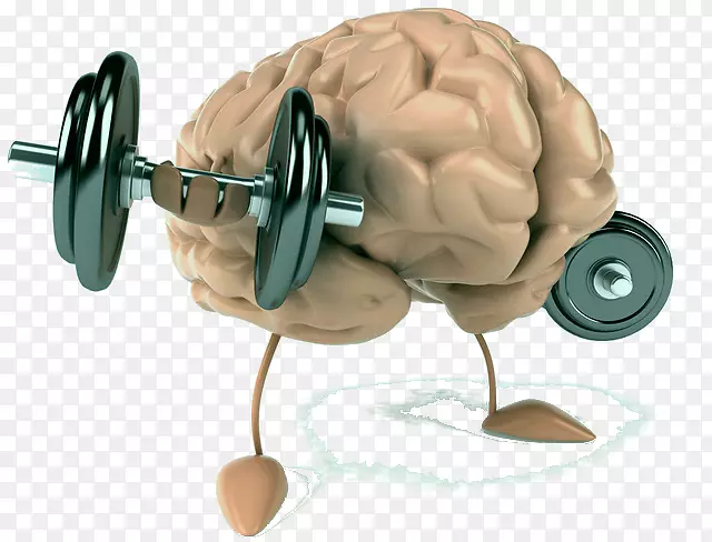 人脑肌肉湖-萨姆特州立大学认知科学-大脑