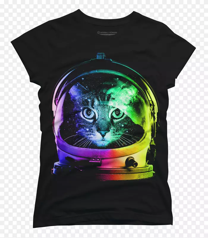 小猫，暹罗猫，尼安猫，太空彩虹-小猫