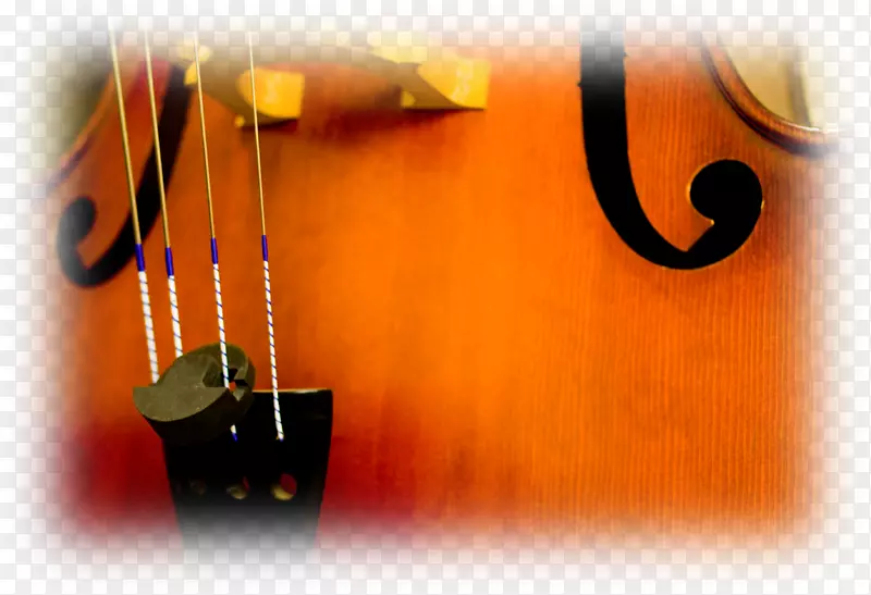 大提琴静物摄影字体-非洲双胞胎