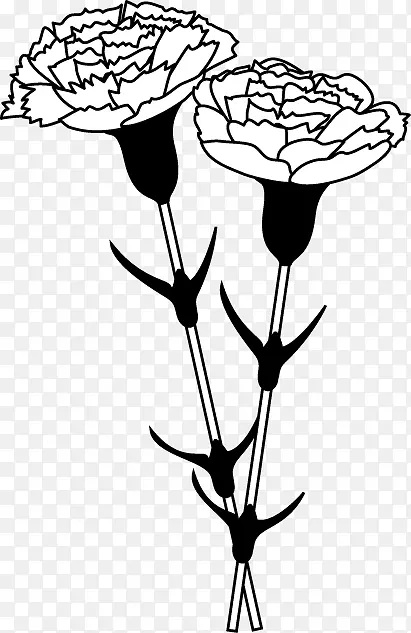黑白康乃馨单色绘画剪贴画-康乃馨花