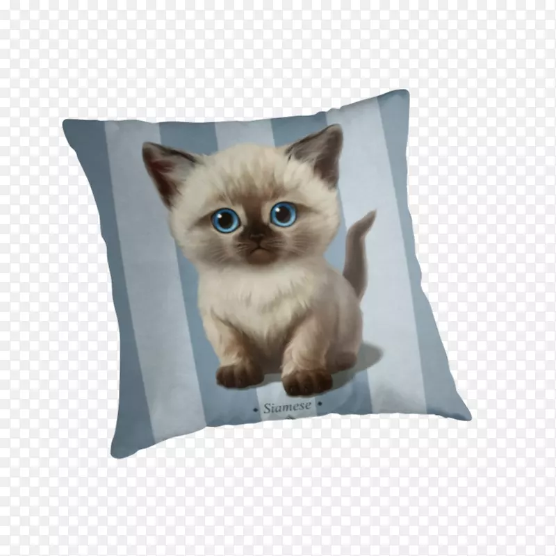 胡须小猫扔枕头垫小猫