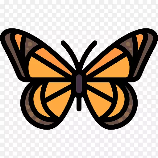 帝王蝴蝶电脑图标剪贴画蝴蝶
