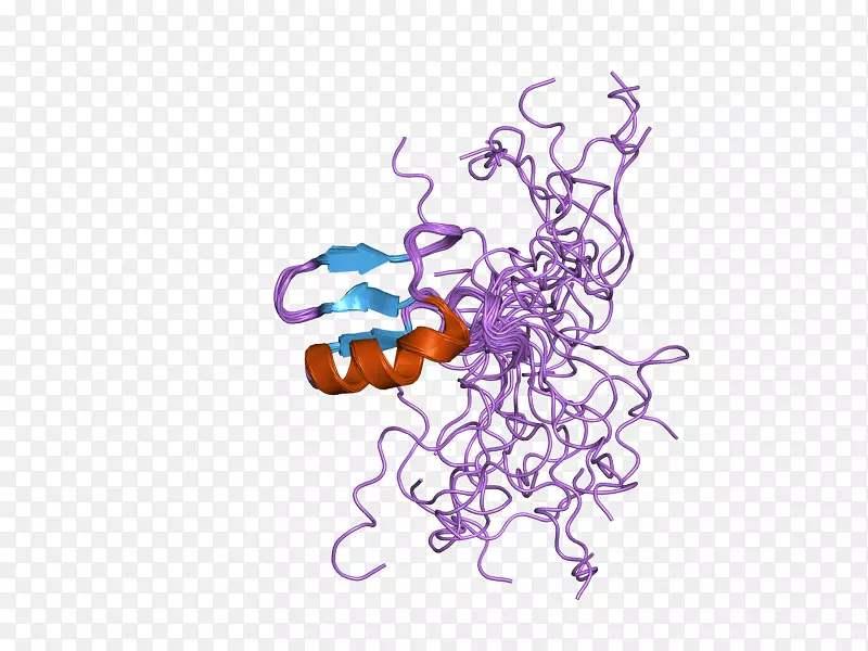CHD 7解旋酶染色质重塑蛋白酶-酶