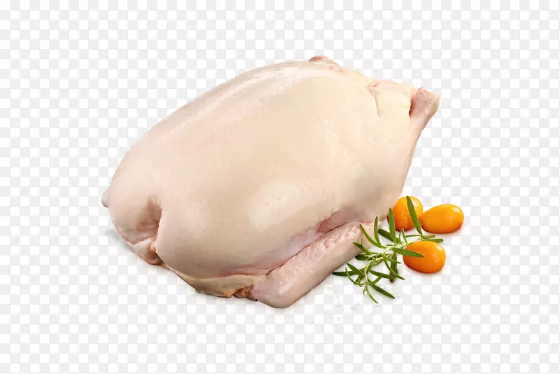 鸭肉火鸡肉绿藻鸡作为食物-鸭