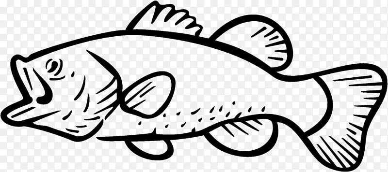 鲈鱼捕捞大型鲈鱼夹艺术钓鱼