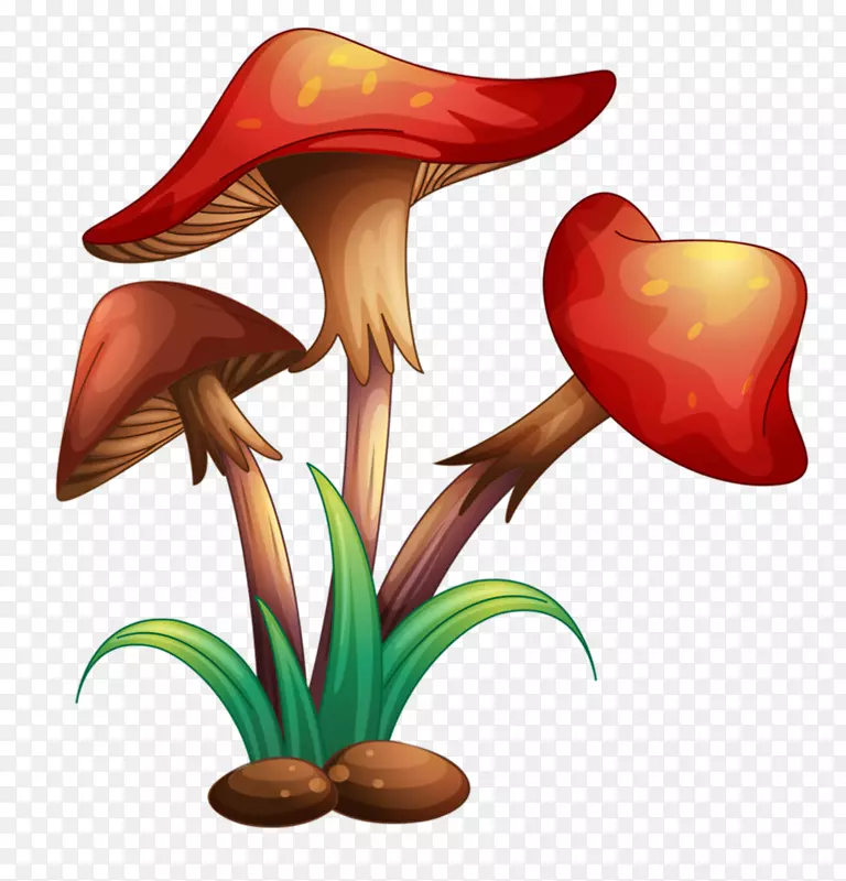 免版税蘑菇插画-蘑菇