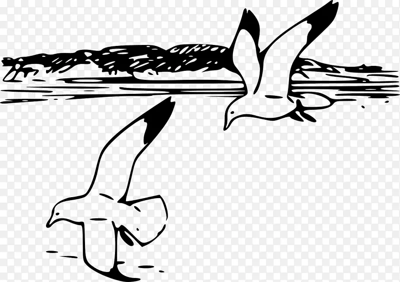 海鸥泳滩剪贴画-鸟