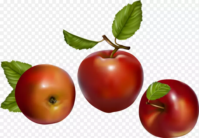 番茄苹果浆果-番茄