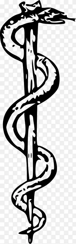 古希腊赫耳墨斯？卡杜修斯杖作为医学标志的象征