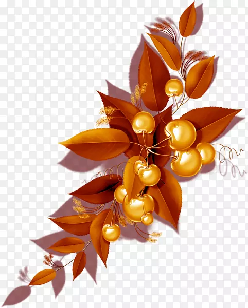 樱花甜樱桃酸樱桃剪贴画
