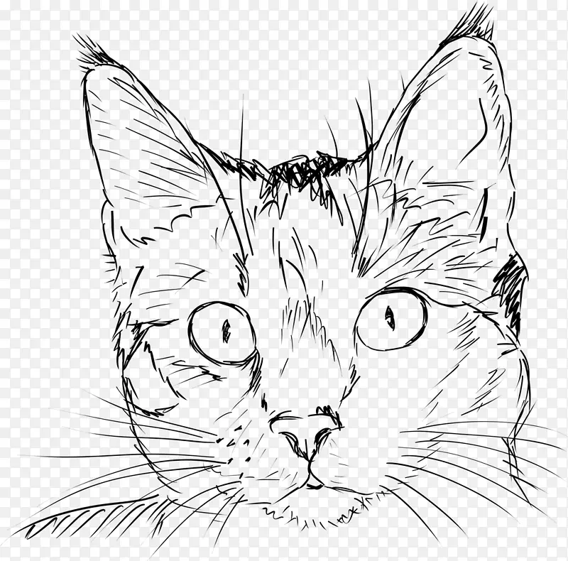 画猫素描猫