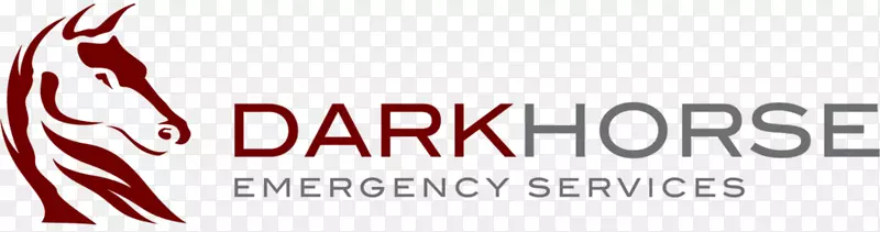 黑马分析公司标志-紧急服务