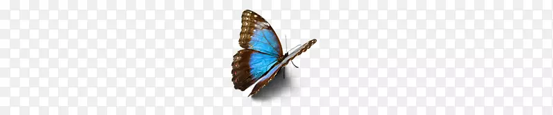 鼓起勇气：理解你的恐惧，控制你的焦虑，做出更好的决定-利用障碍来帮助你的蝴蝶效应身体珠宝-生活很奇怪。