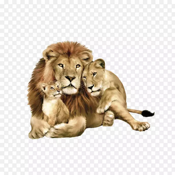 小狮子，东非狮子，家庭书，老虎，猫科动物-老虎