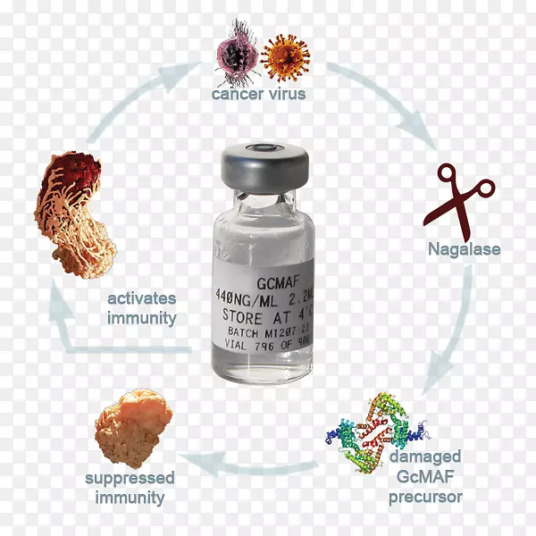 GcMAF自闭症维生素d结合蛋白治疗癌症-健康