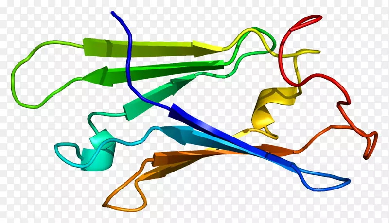 蛋白基因hsp 104 Skp1 sugt 1
