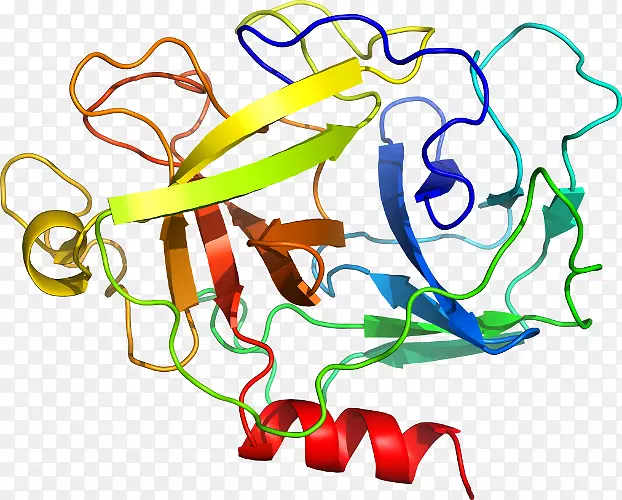 mst 1结构kringle结构域基因肝细胞生长因子