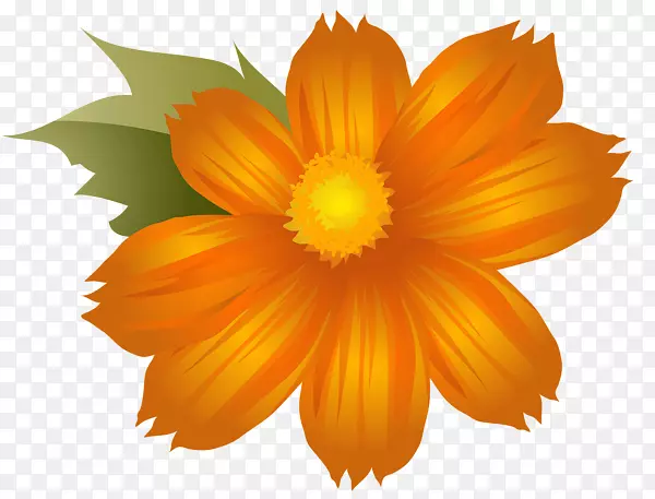 花橙插花艺术-金盏菊